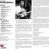 The Best Of Muddy Waters | Muddy Waters, Not Now Music