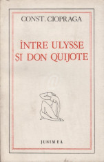 Intre Ulysse si Don Quijote. Reflectii despre literatura foto