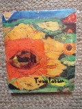 Ion Țuculescu - Petru Comarnescu, Meridiane 1967, Album Artă, GERMANA, Planșe Color