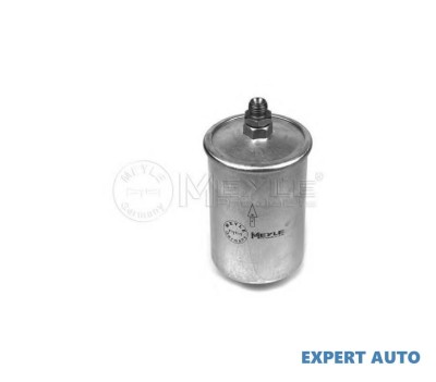 Filtru de combustibil Mercedes S-CLASS (W116) 1972-1980 foto