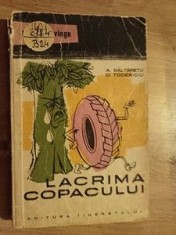 Lacrima copacului- A. Baltaretu, D. Toderioiu