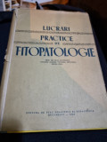 Lucrari practice de fitopatologie - Olga Savulescu