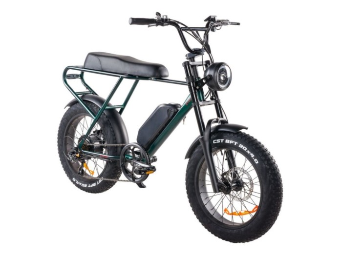 Bicicleta electrica Z-Tech ZT-86-A LEGACY, motor 250W, baterie 48V 13Ah, viteza 25km/h, autonomie 45km, viteza maxima asistata 25km/h - Verde
