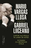 Chipuri ale raului in lumea de astazi - Mario Vargas Llosa, Gabriel Liiceanu