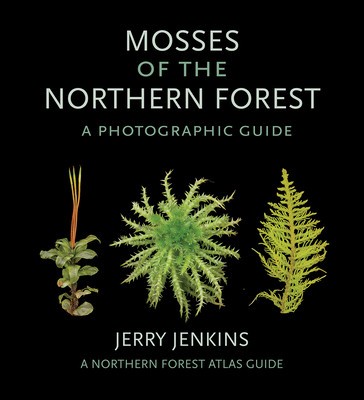 Mosses of the Northern Forest: A Photographic Guide foto