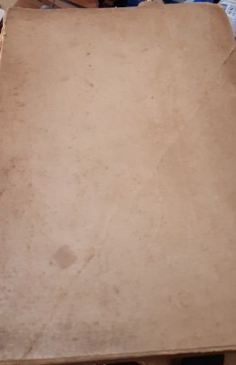 TRUBENDAL VIRGILIU MONDA foto