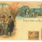 1129 - ETHNIC, Country Life, Litho, Romania - old postcard - unused