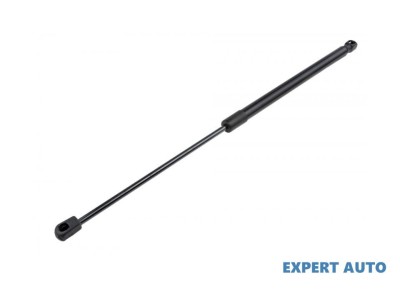 Amortizor gaz ridicare hayon portbagaj Ford B-Max (2012-&amp;gt;) #1 foto