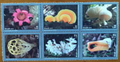 BRAZILIA- &amp;#039;&amp;#039;FLORA-CIUPERCI EXOTICE&amp;#039;&amp;#039; BLOC de 6 val.-Nestamp-MNH** foto