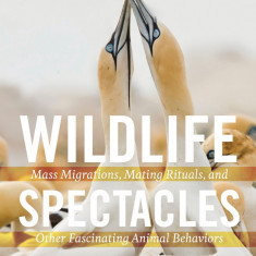 Wildlife Spectacles | Vladimir Dinets