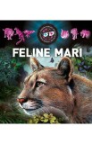 Feline mari 3D