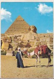 Bnk cp Egipt - Beduin si camila la Giza - necirculata, Printata