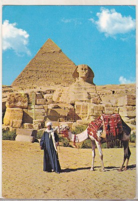 bnk cp Egipt - Beduin si camila la Giza - necirculata foto