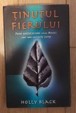 Holly Black - Tinutul fierului