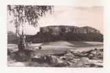 FA137 -Carte Postala- GERMANIA - Fels Pfaffenstein. Blick vom Quirl, necirculata
