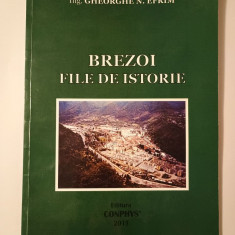 Gheorghe N. Efrim - Brezoi - file de istorie (ediția a III-a)