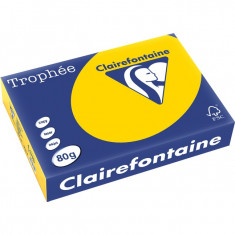 Hartie Clairefontaine A4, 80g/mp, color pal, 500/top, Gold foto