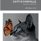 Gatti e Farfalle: Pensieri e Aforismi
