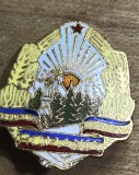 (H) [Faleristică RSR] Insignă Veche Stema Republicii Socialiste Rom&acirc;nia - Emailată