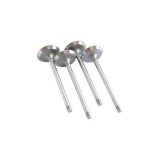 Set supape admisie motor Dacia 1310, Papuc benzina 1600 501990 SUPAPE 1600