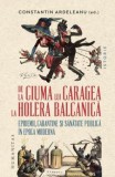 De la ciuma lui Caragea la holera balcanica. Epidemii, carantine si sanatate publica in epoca moderna &ndash; Constantin Ardeleanu (ed.)
