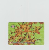bnk card Cartele telefonice - Singapore - Singapore Telecom - Dendrobium Lasianthera - Col:154SIGA (0)c