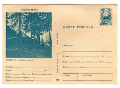 RASTOLNITA TABARA SCOLARA PIONIERI JUD MURES COD 037/89 foto