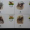 Angola-WWF Antilope-set complet FDC