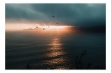 Tablou Canvas, "Păsări &icirc;n lumina apusului marin", Cer, Apus, Păsări, Ocean, Nor, Lumină, Siluetă, Horizon, Reflexie, Peisaj, 39 x 26 cm, CMCLASS
