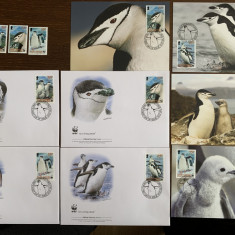 south georgia - pinguin - serie 4 timbre MNH, 4 FDC, 4 maxime, fauna wwf