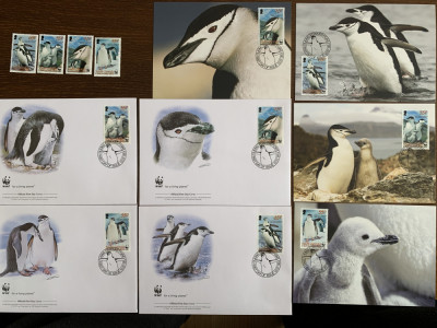 south georgia - pinguin - serie 4 timbre MNH, 4 FDC, 4 maxime, fauna wwf foto