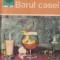 Constantin Vladuca - Barul casei