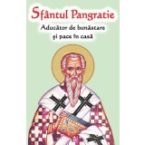 Sfantul Pangratie - Aducator de bunastare si pace in casa - Ortodoxia