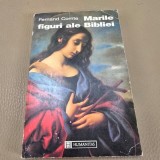 MARILE FIGURI ALE BIBLIEI , FERNAND COMTE