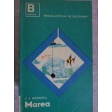 MAREA-C.S. ANTONESCU-235630