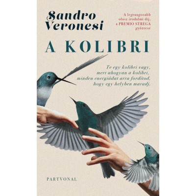 A kolibri - Sandro Veronesi foto