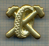 Y 1773 INSIGNA - MILITARA -SEMN DE ARMA - AUTO -PENTRU COLECTIONARI