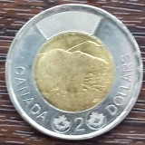 (M1420) MONEDA CANADA - 2 DOLLARS 2017, COMEMORATIVA - URSUL POLAR, BIMETALICA