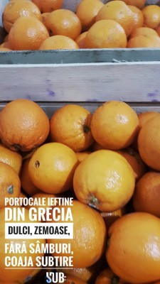 Portocale foto