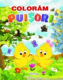 Cumpara ieftin Coloram puisori, erc press