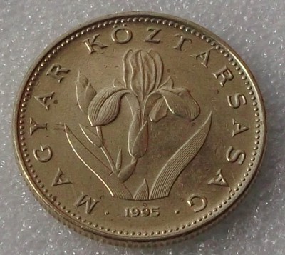 Ungaria 20 forint 1995 ** foto