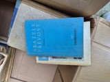 Abatele Prevost vintage