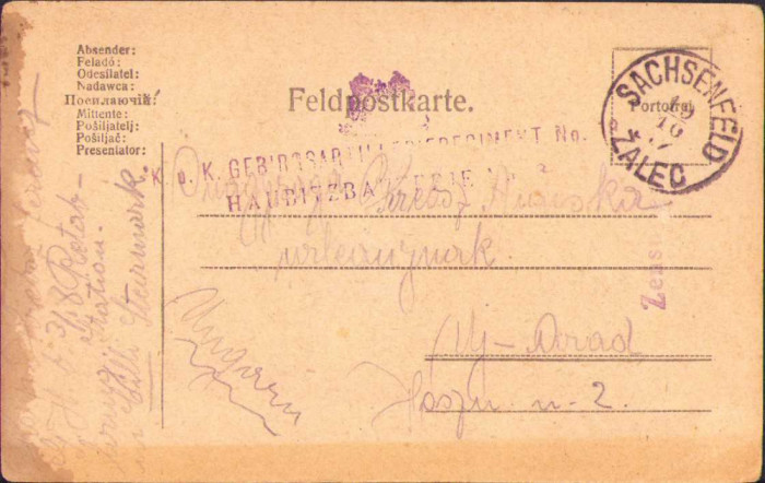 HST CP51 Carte poștală militară 1917 ștampila Gebirgsartillerieregiment 18