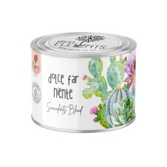 Kit de plantare Uplift, seminte de Plante Suculente Mix foto
