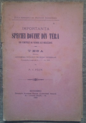 Importanta speciei bovine din tara din punctulu de vedere alu macelariei// 1889 foto