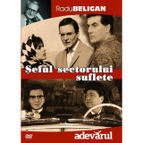 Seful Sectorului Suflete - DVD Mania Film