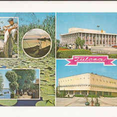 Carte Postala veche - Tulcea , Delta Dunarii, Necirculata 1979