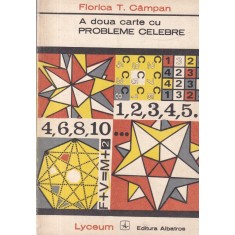 Florica T. Campan - A doua carte cu probleme celebre