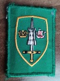 C7 208 - Ecuson tematica militara - Italia - piesa de colectie