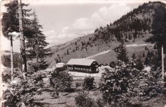 AMS - ILUSTRATA 1250, MUNTII RODNEI - COMPLEXUL TURISTIC BORSA, ANUL 1957, cu perforari